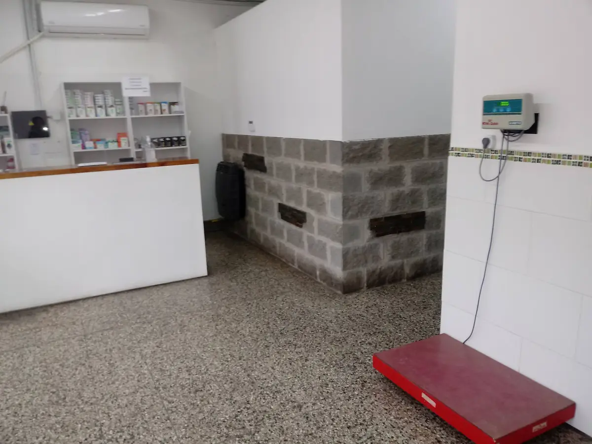 Sala de espera con mostrador y balanza para mascotas